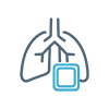 Icon-Lung1 Lung